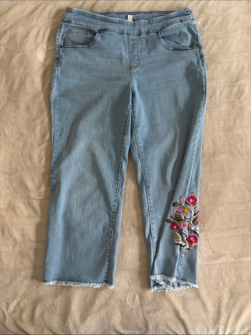 The Pioneer Woman Light Blue Cropped Jeans with Floral Embroidery